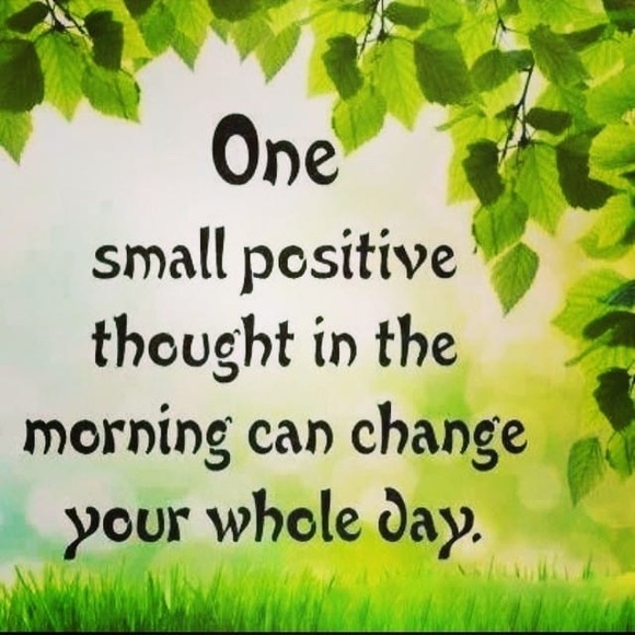 Meet your Posher, Amarachi - Picture 1 of 1